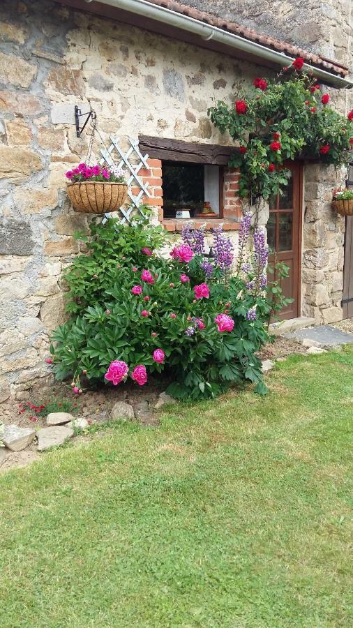 Le Cosy Saint-Yrieix-la-Perche Exterior foto